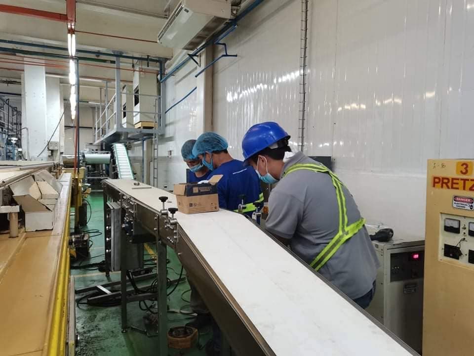 PU belt conveyor installation